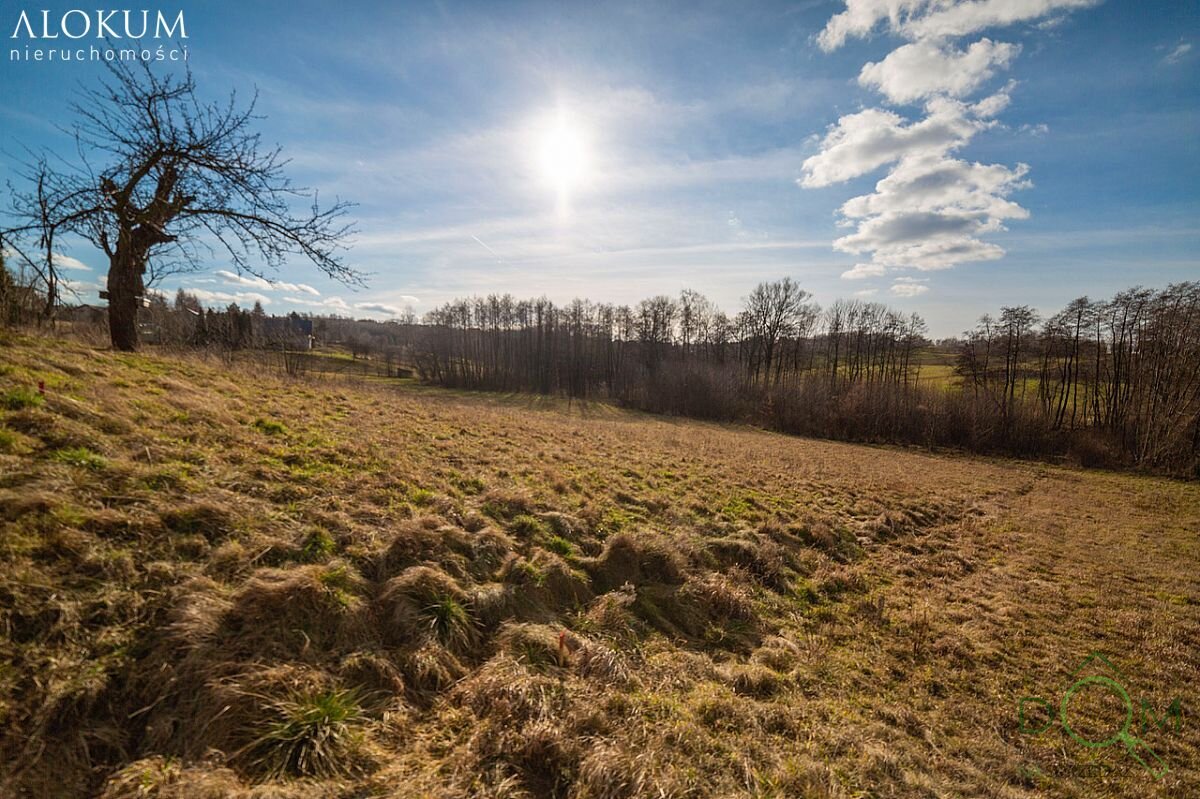 alokum_nieruchomosci_zs_3039_14.jpg