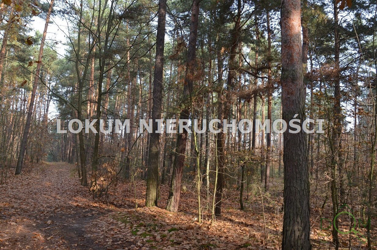 lokum_nieruchomosci_dt_zs_LOK-GS-1467_5.jpg