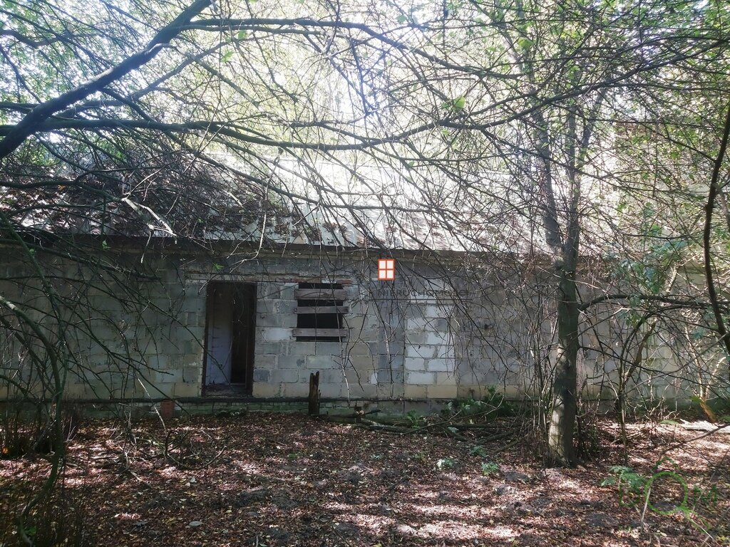 107515210.jpg