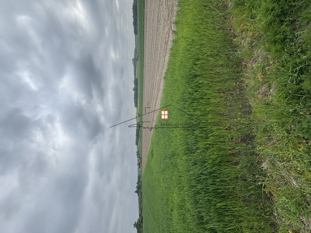 112673401.jpg