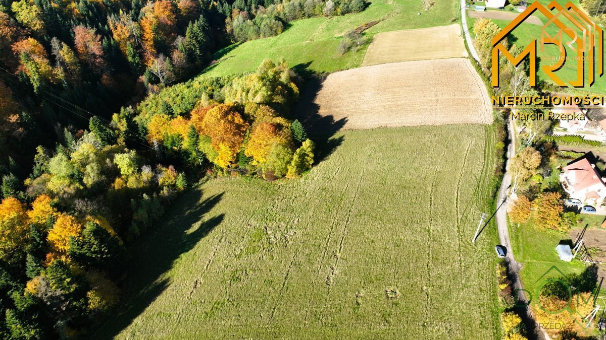 marcin_rzepka_nieruchomosci_zs_373_3.jpg