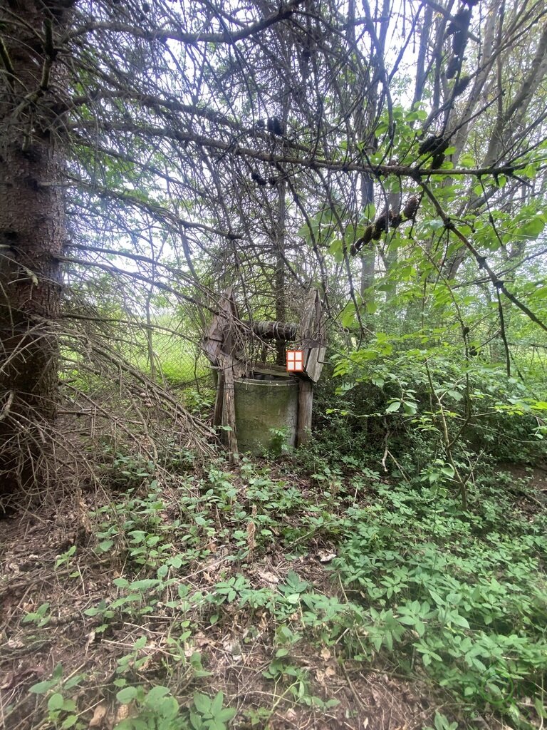 112507822.jpg