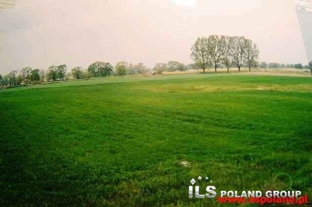 ils_poland_group_ls_952_5.jpg
