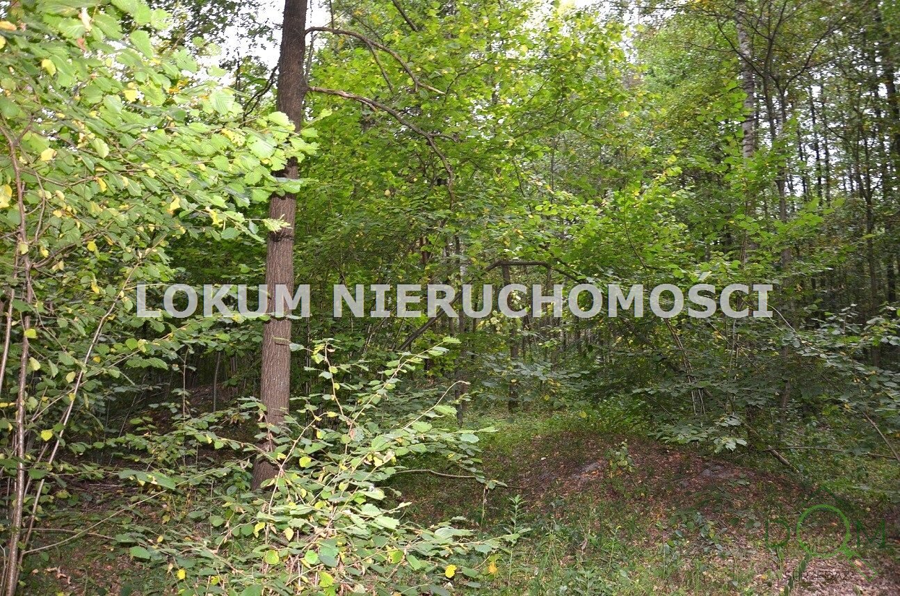 lokum_nieruchomosci_dt_zs_LOK-GS-1786_5.jpg