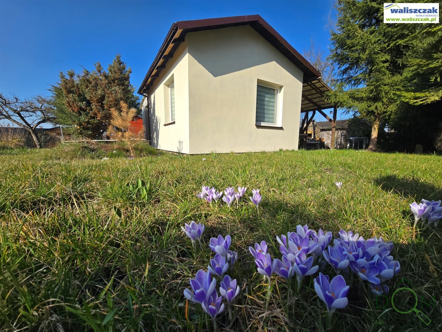 waliszczak_nieruchomosci_ds_DS-14414-1_1.jpg