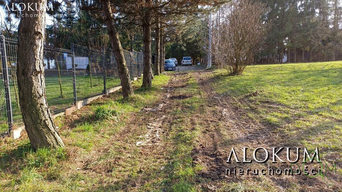 alokum_nieruchomosci_zs_3036_9.jpg