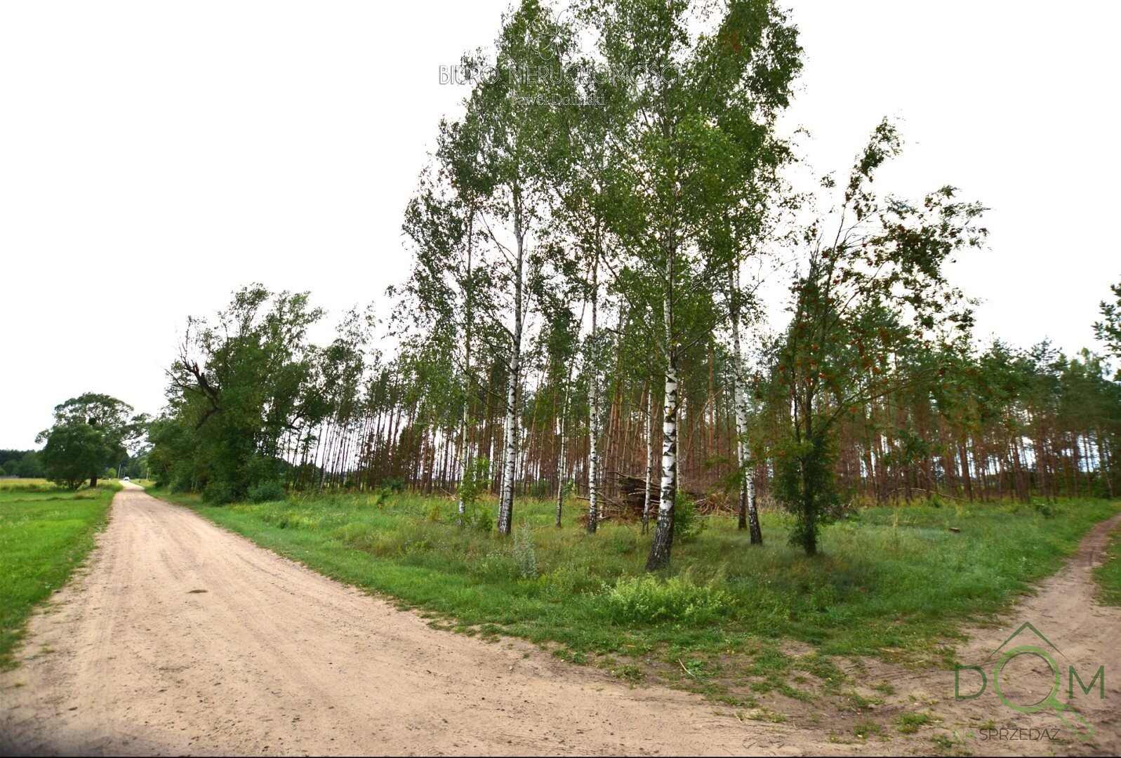 dolinscy_nieruchomosci_zs_PDN-GS-23-1_5.jpg