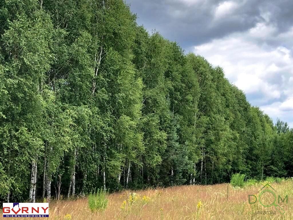 gorny_nieruchomosci_zs_NIG-GS-4276_2.jpg