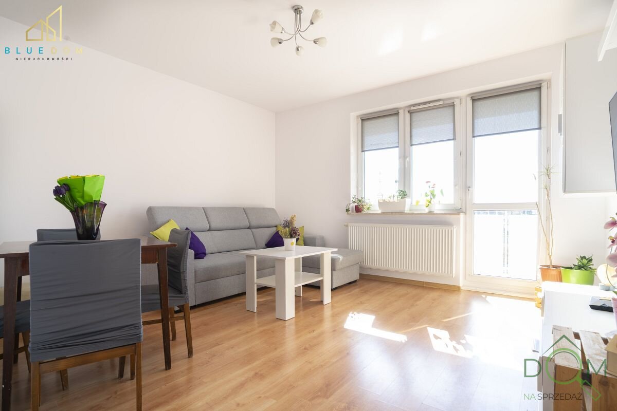 bluedom_nieruchomosci_ms_244_1.jpg