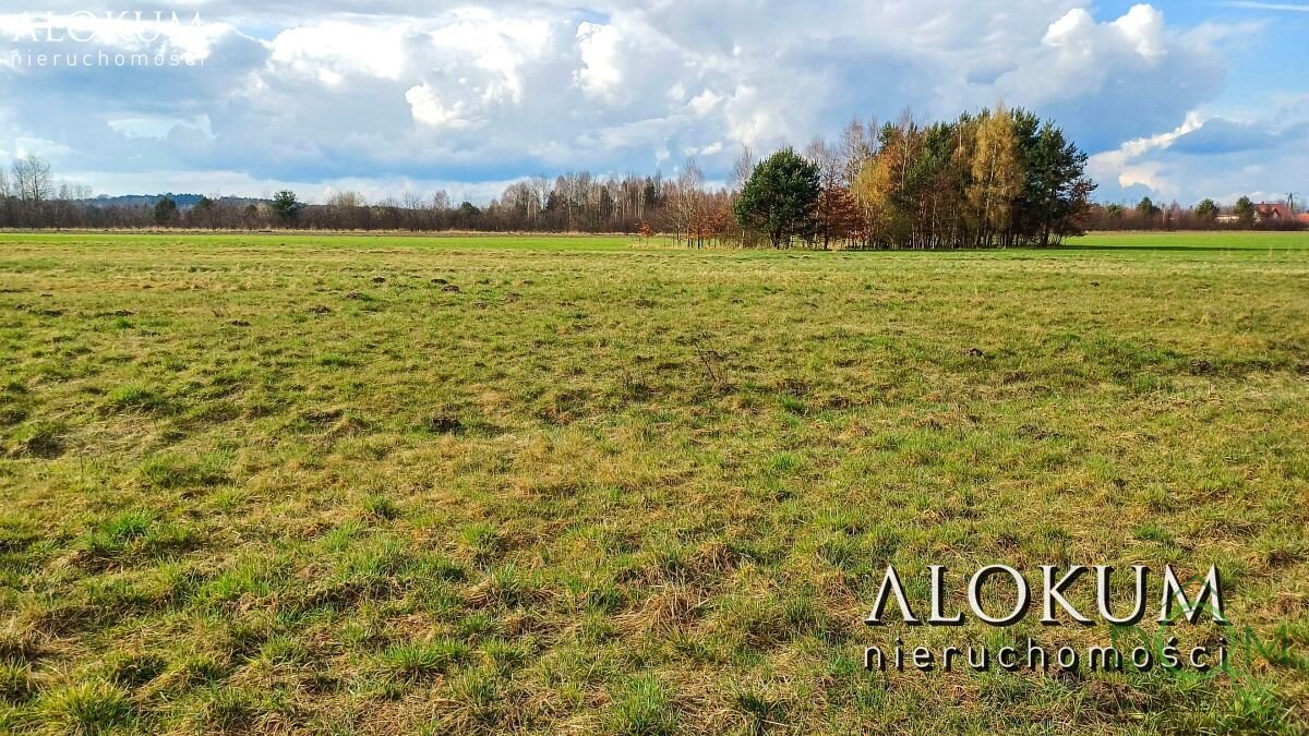 alokum_nieruchomosci_zs_2443_4.jpg