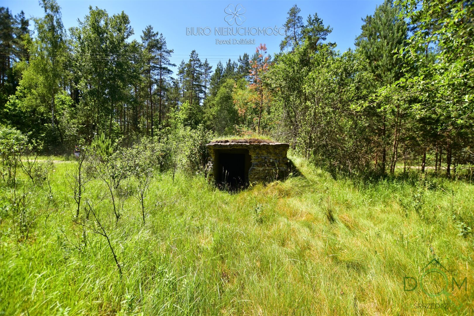 dolinscy_nieruchomosci_zs_PDN-GS-61_4.jpg