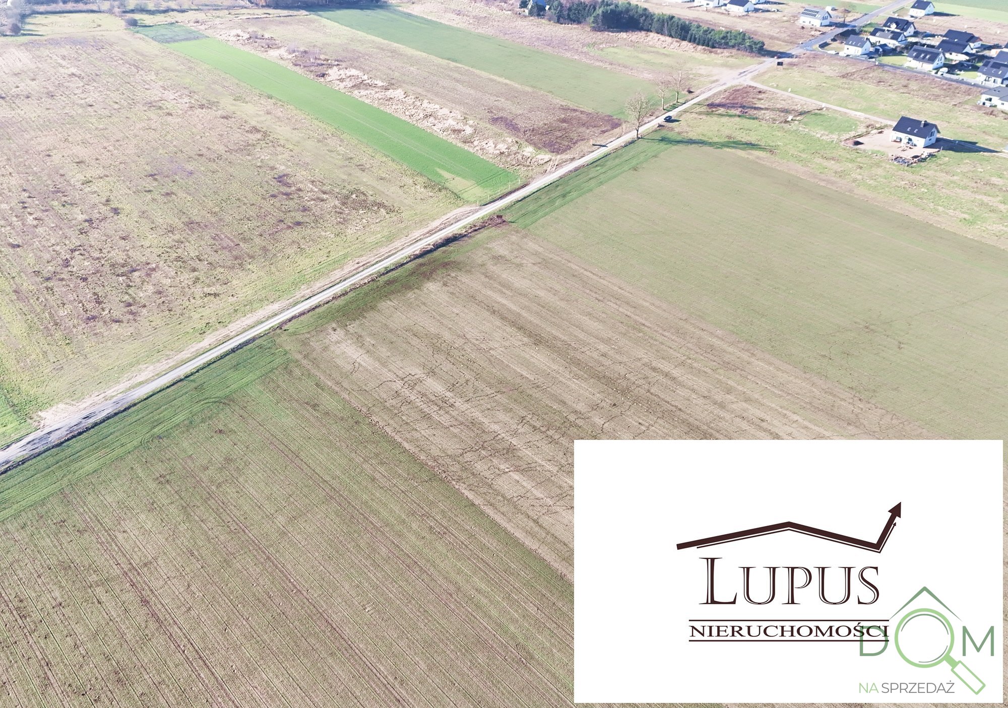 lupus_nieruchomosci_zs_2203_9.jpg