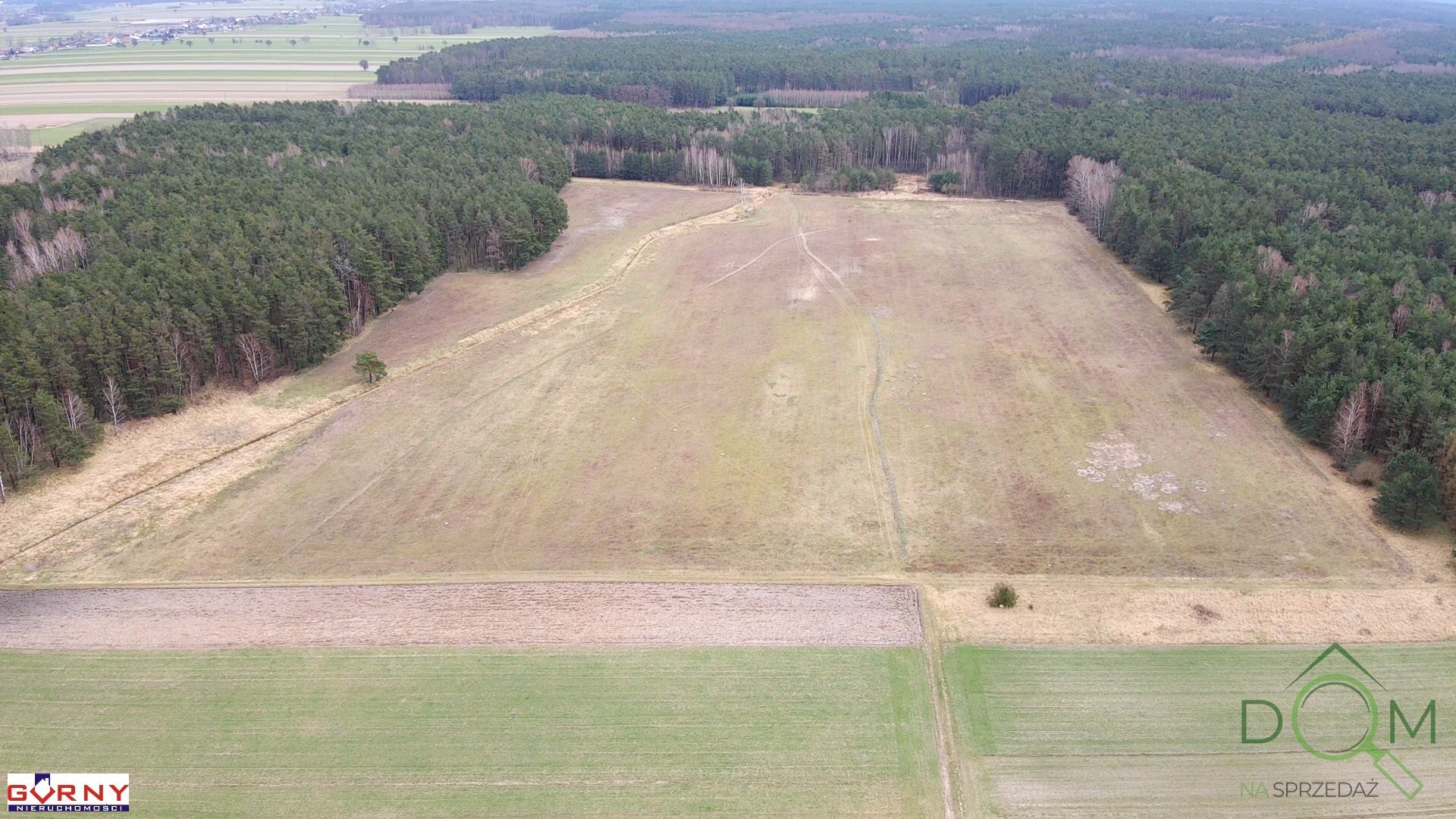 gorny_nieruchomosci_zs_NIG-GS-4680_4.jpg