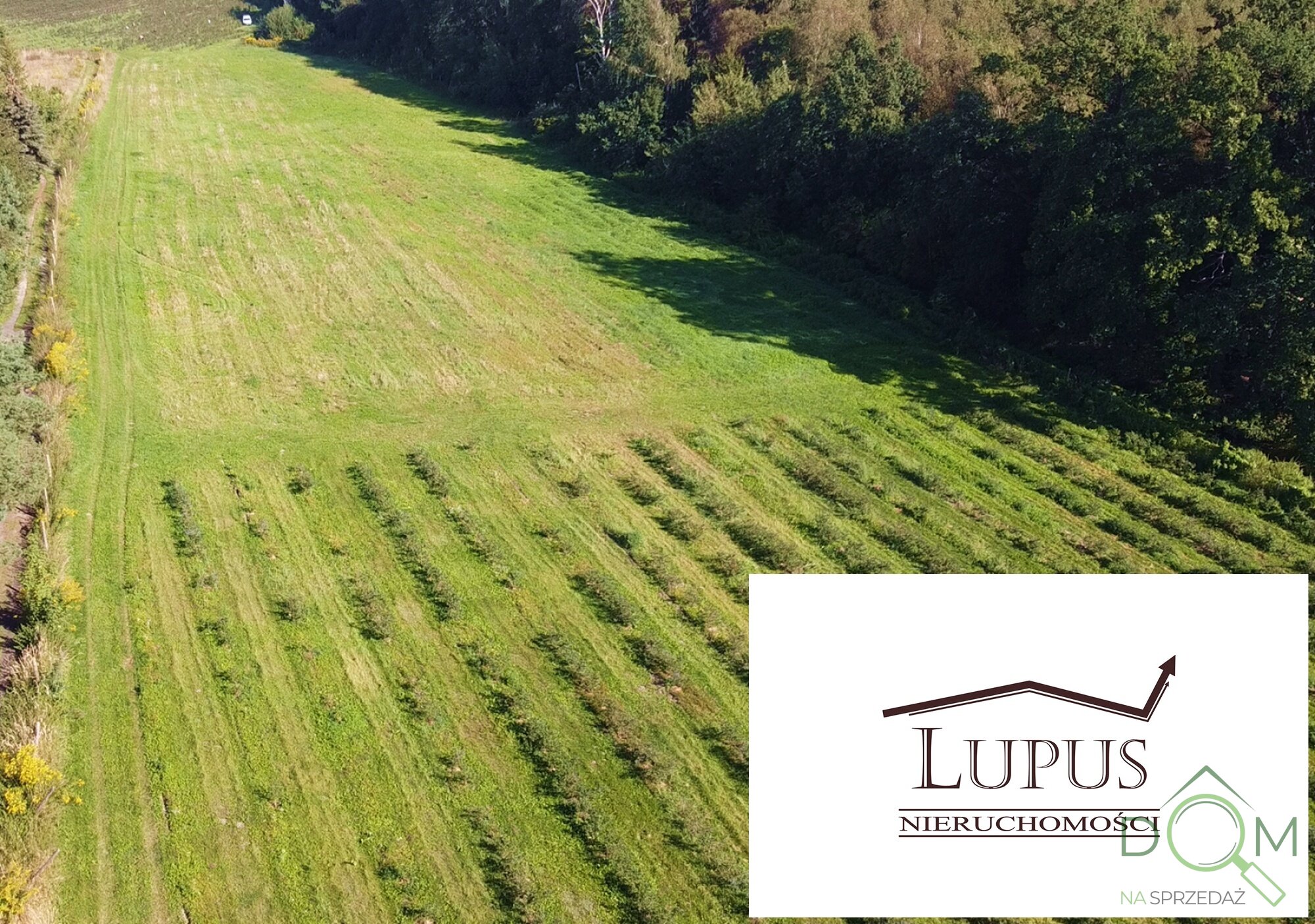 lupus_nieruchomosci_zs_2194_10.jpg
