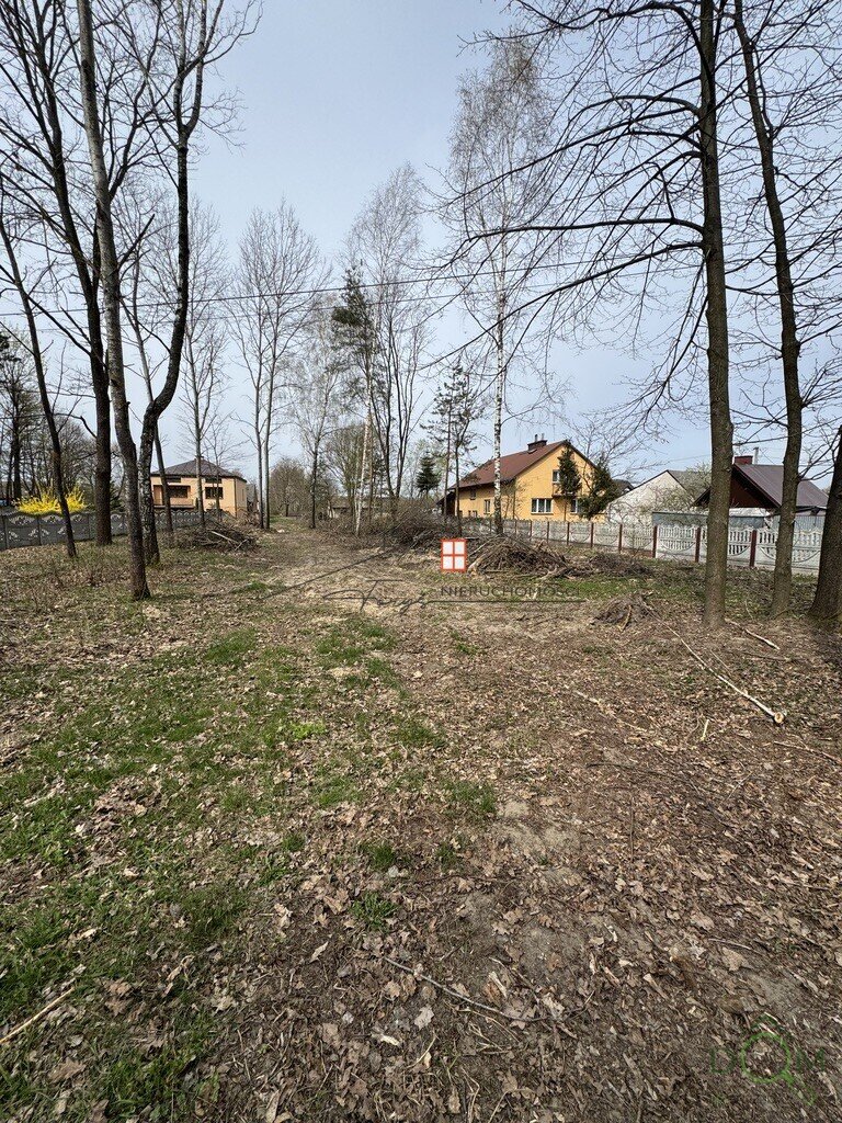 111916657.jpg