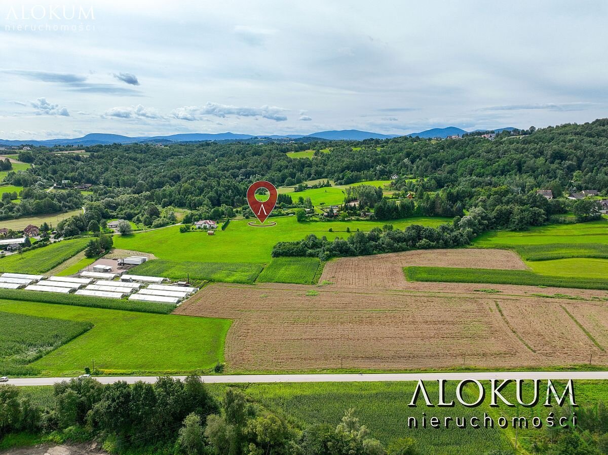 alokum_nieruchomosci_zs_1293_1.jpg