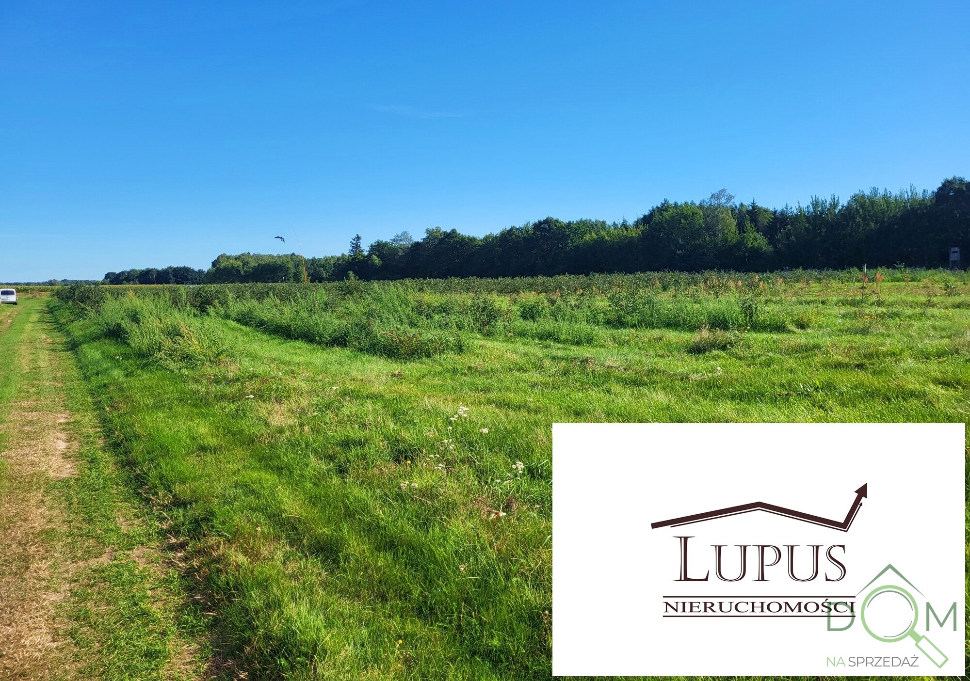 lupus_nieruchomosci_zs_2194_11.jpg
