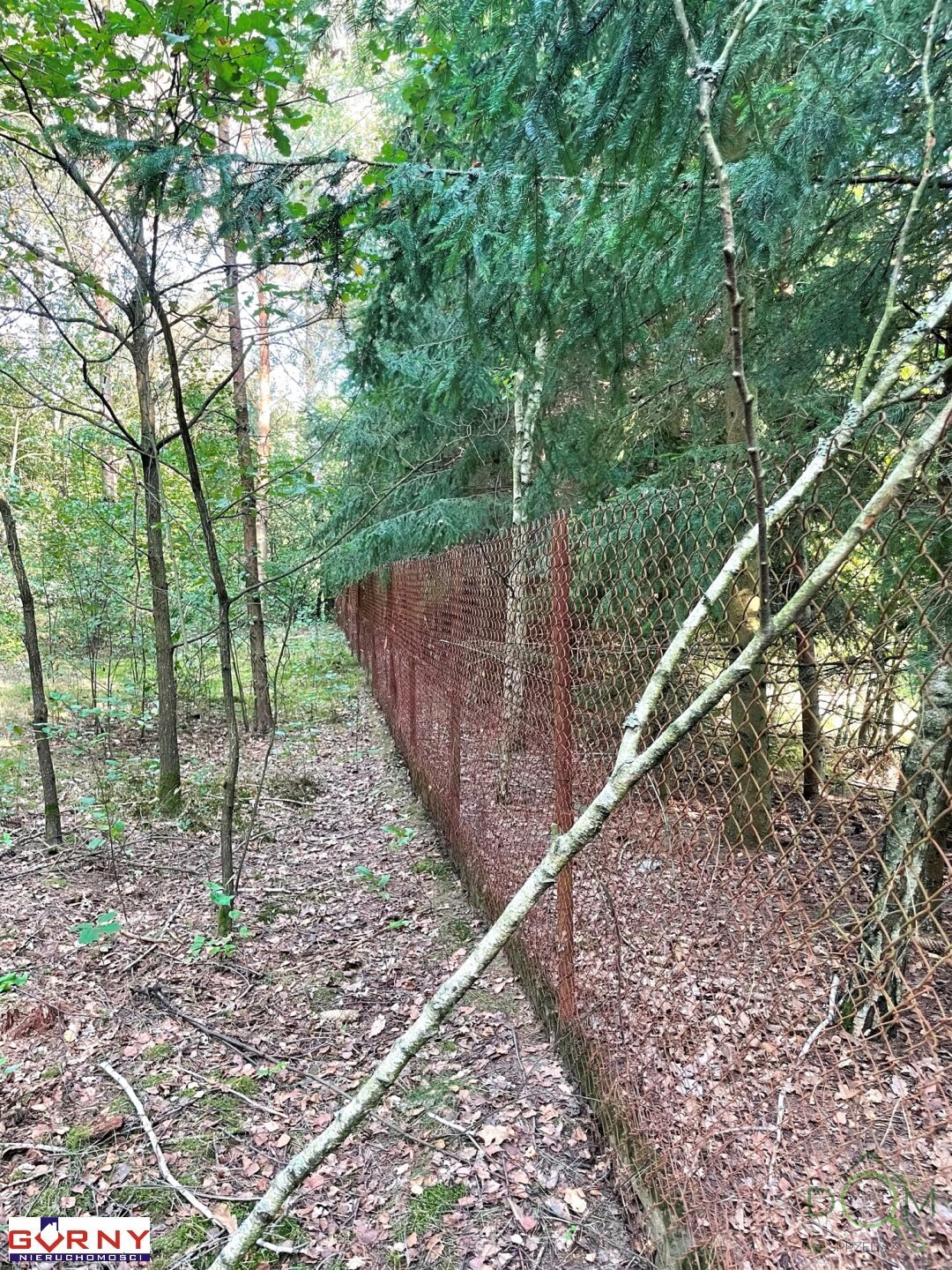 gorny_nieruchomosci_zs_NIG-GS-4474_8.jpg