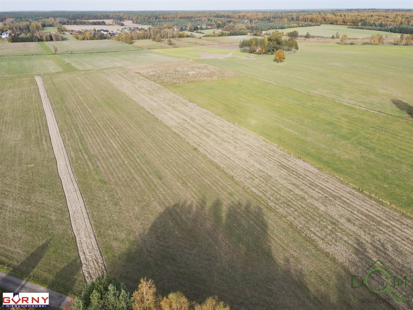 gorny_nieruchomosci_zs_NIG-GS-4002_8.jpg