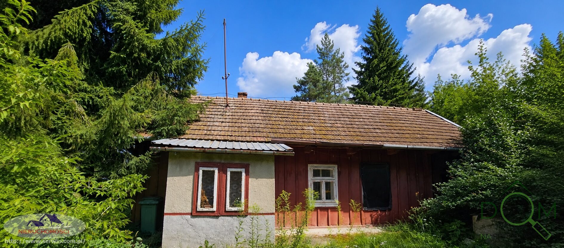 jolanta_serwin_ds_JSN-DS-3108-1_1.jpg
