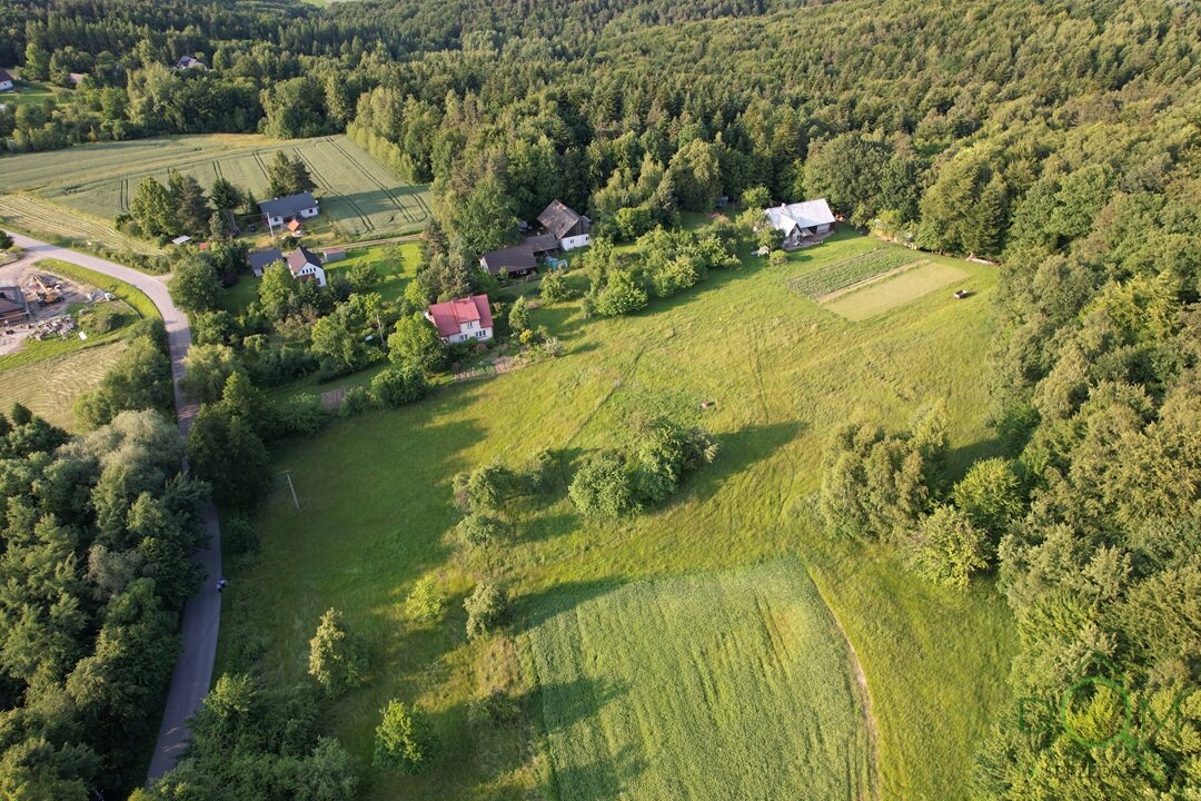 DJI_0263.JPG