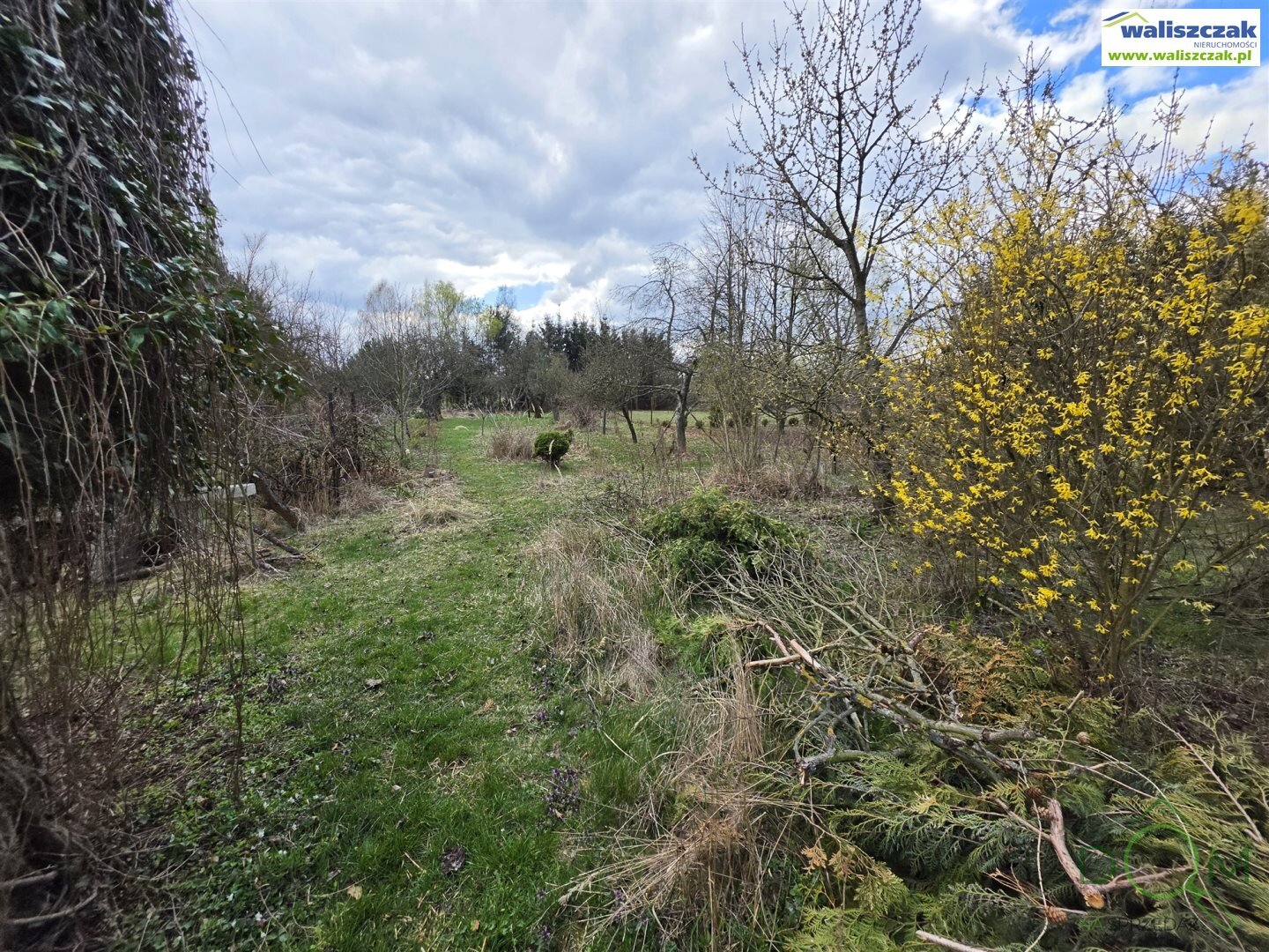 waliszczak_nieruchomosci_ds_DS-14849_30.jpg