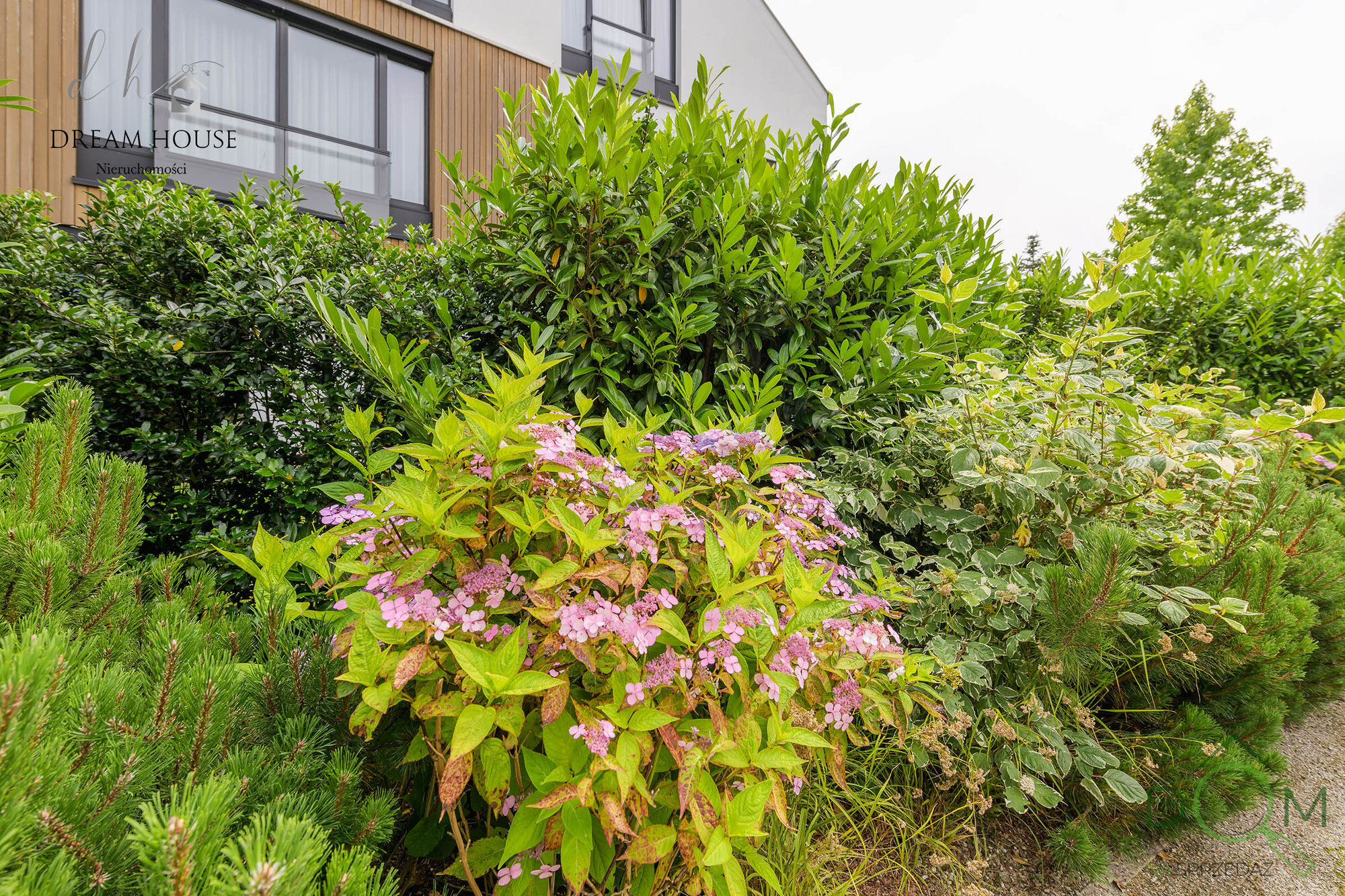 gdansk bursztynowa 1 obiekt i okolica 377.jpg