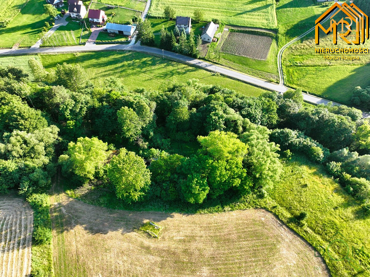 marcin_rzepka_nieruchomosci_zs_175_7.jpg
