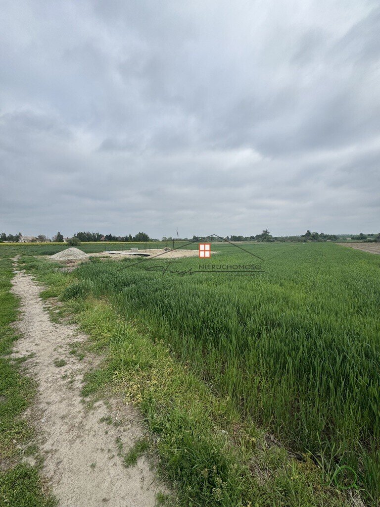 112677483.jpg
