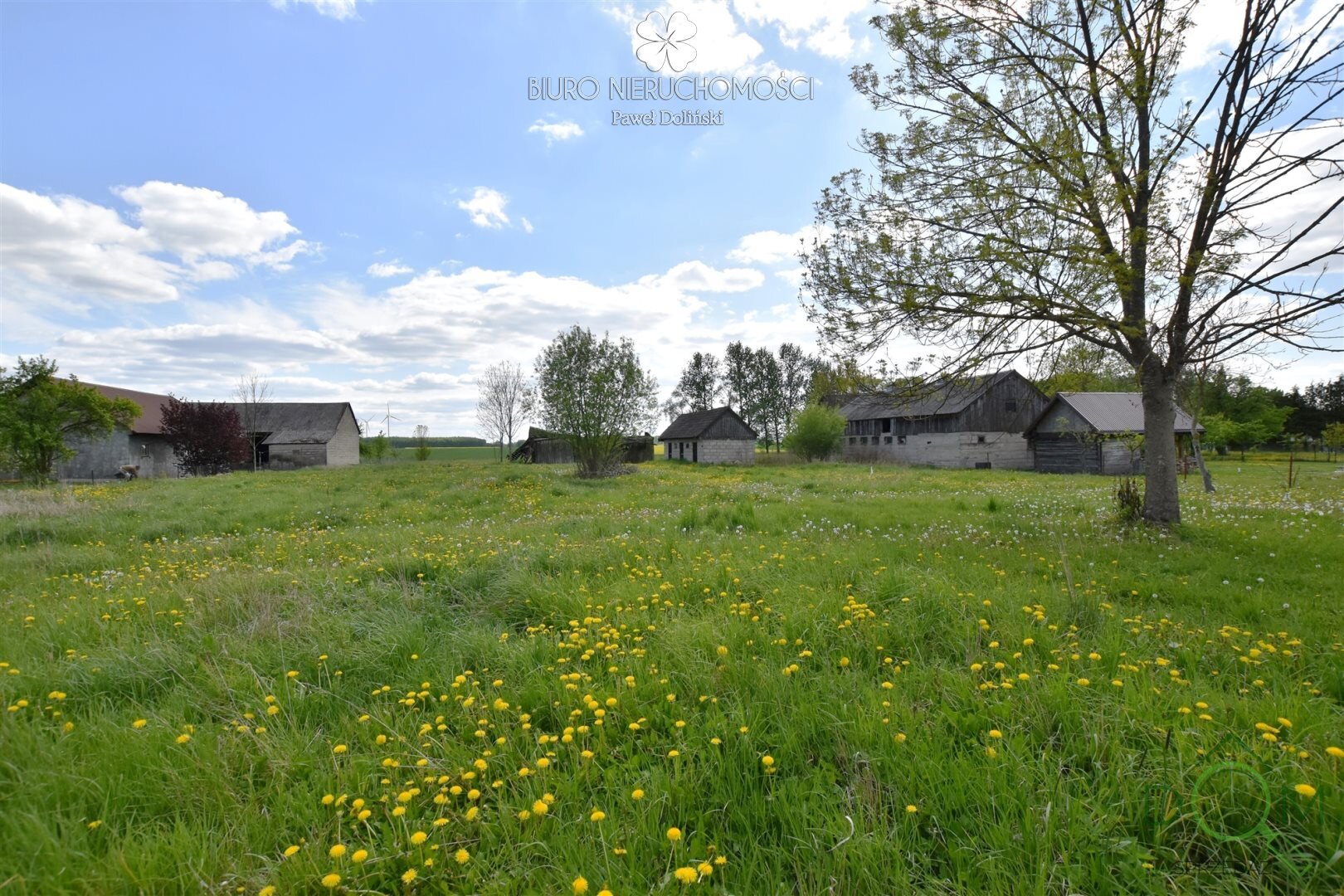 dolinscy_nieruchomosci_ds_PDN-DS-55-1_13.jpg