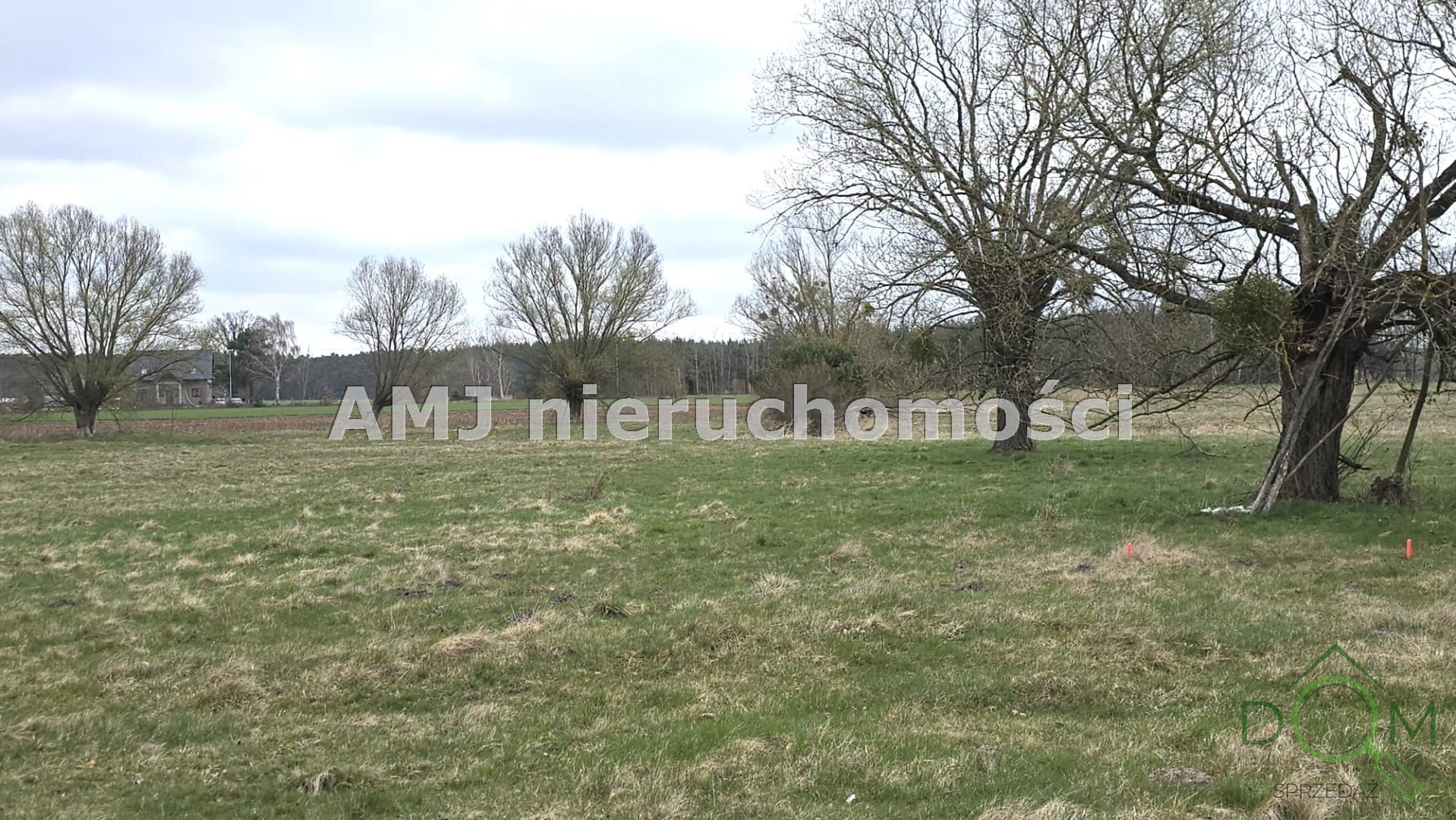 amj_nieruchomosci_zs_AMJ-GS-242_1.jpg