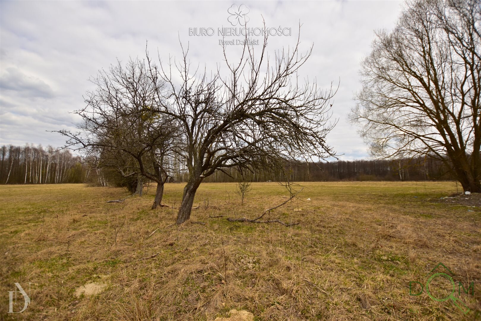 dolinscy_nieruchomosci_zs_PDN-GS-98_9.jpg