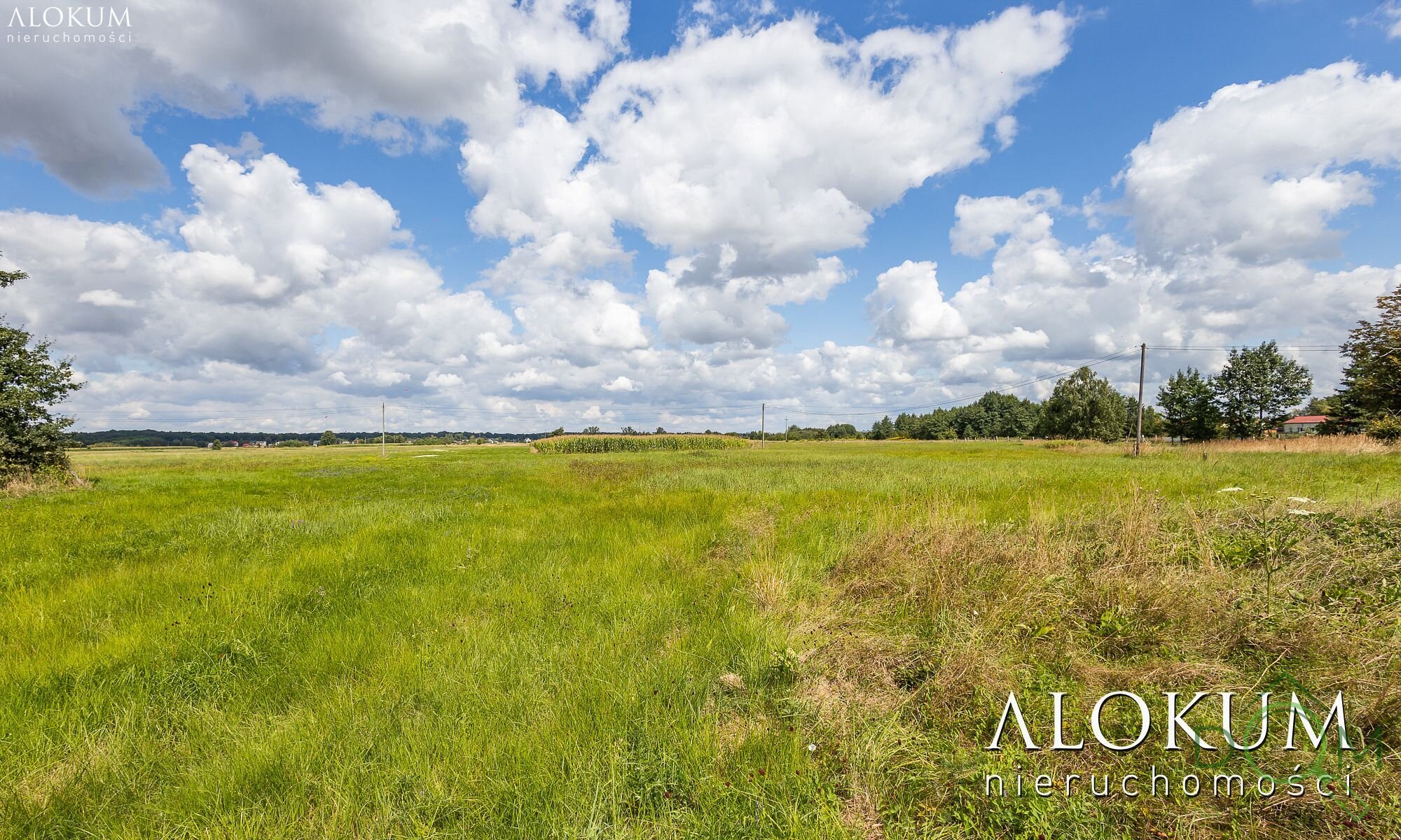 alokum_nieruchomosci_zs_2967_14.jpg