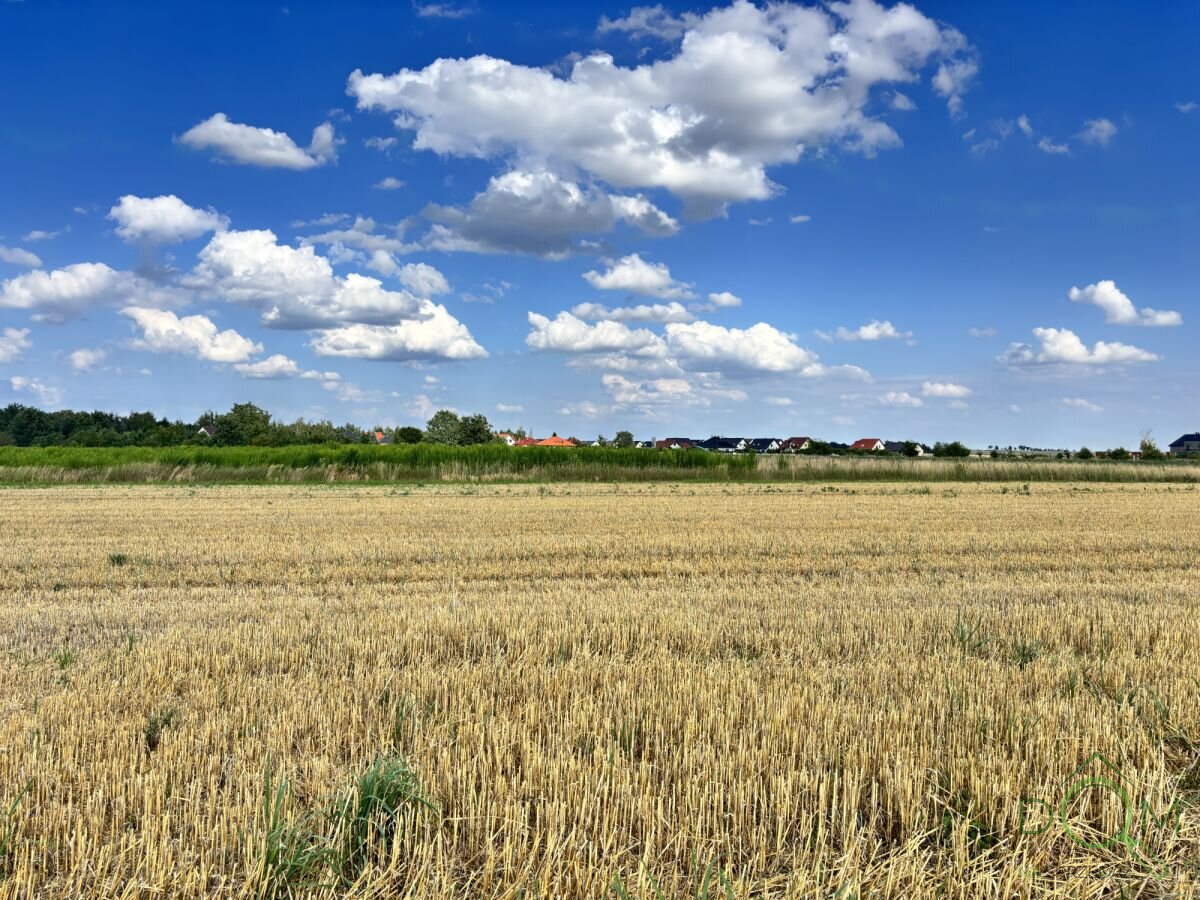 pozysk_nieruchomosci_zs_443568_19.jpg