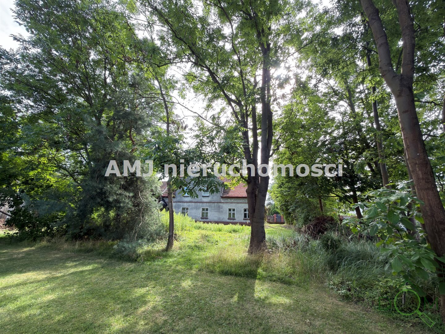 amj_nieruchomosci_ds_AMJ-DS-250_5.jpg