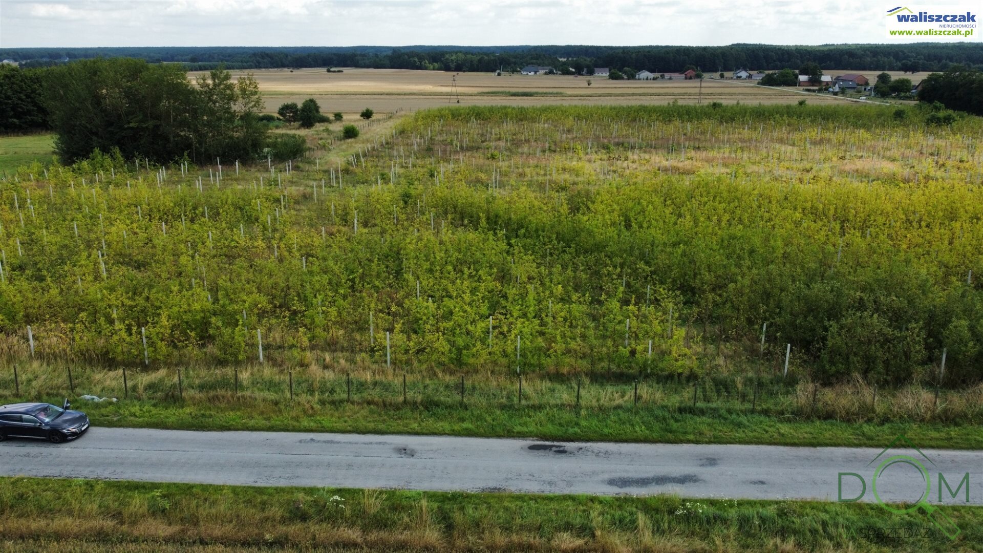 waliszczak_nieruchomosci_zs_GS-14276-1_1.jpg