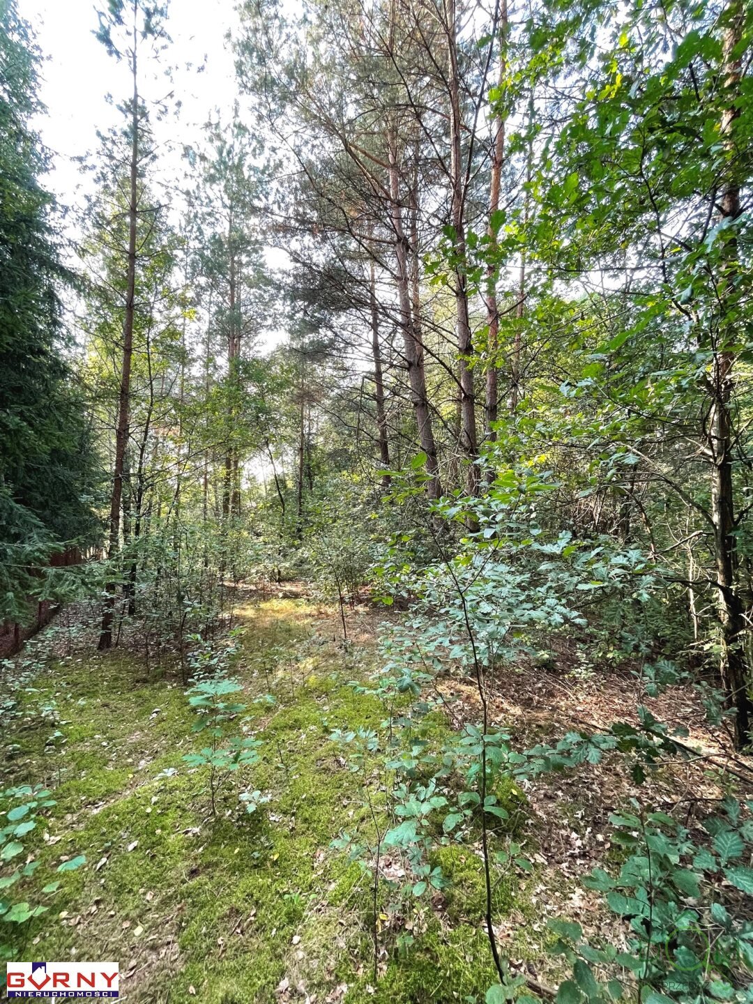 gorny_nieruchomosci_zs_NIG-GS-4474_9.jpg
