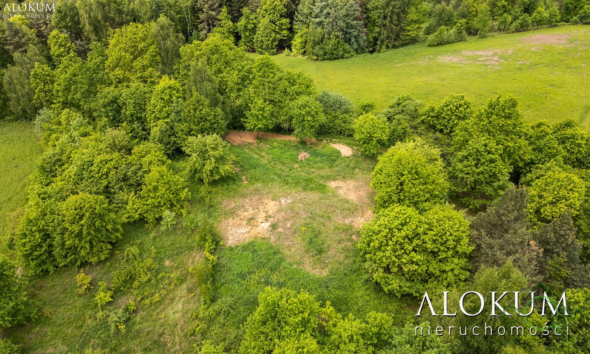 alokum_nieruchomosci_zs_3021_3.jpg