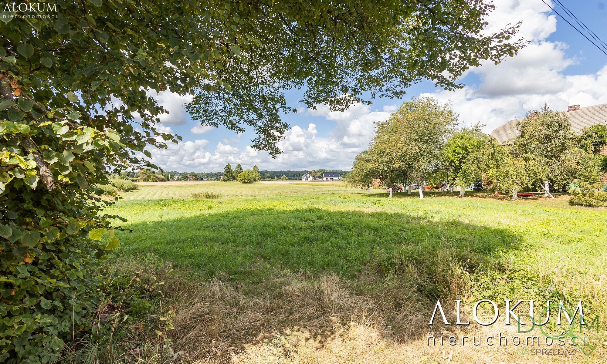 alokum_nieruchomosci_zs_2966_7.jpg