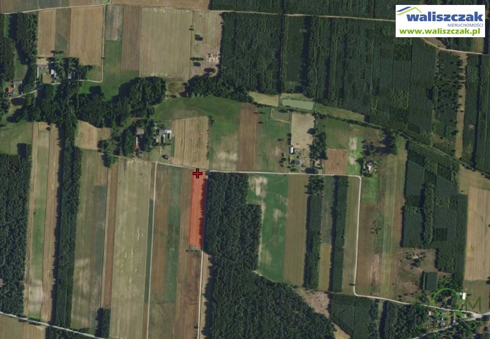 waliszczak_nieruchomosci_zs_GS-14697_4.jpg