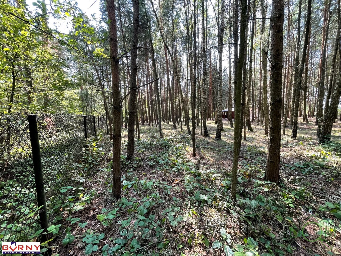 gorny_nieruchomosci_zs_NIG-GS-4462_7.jpg