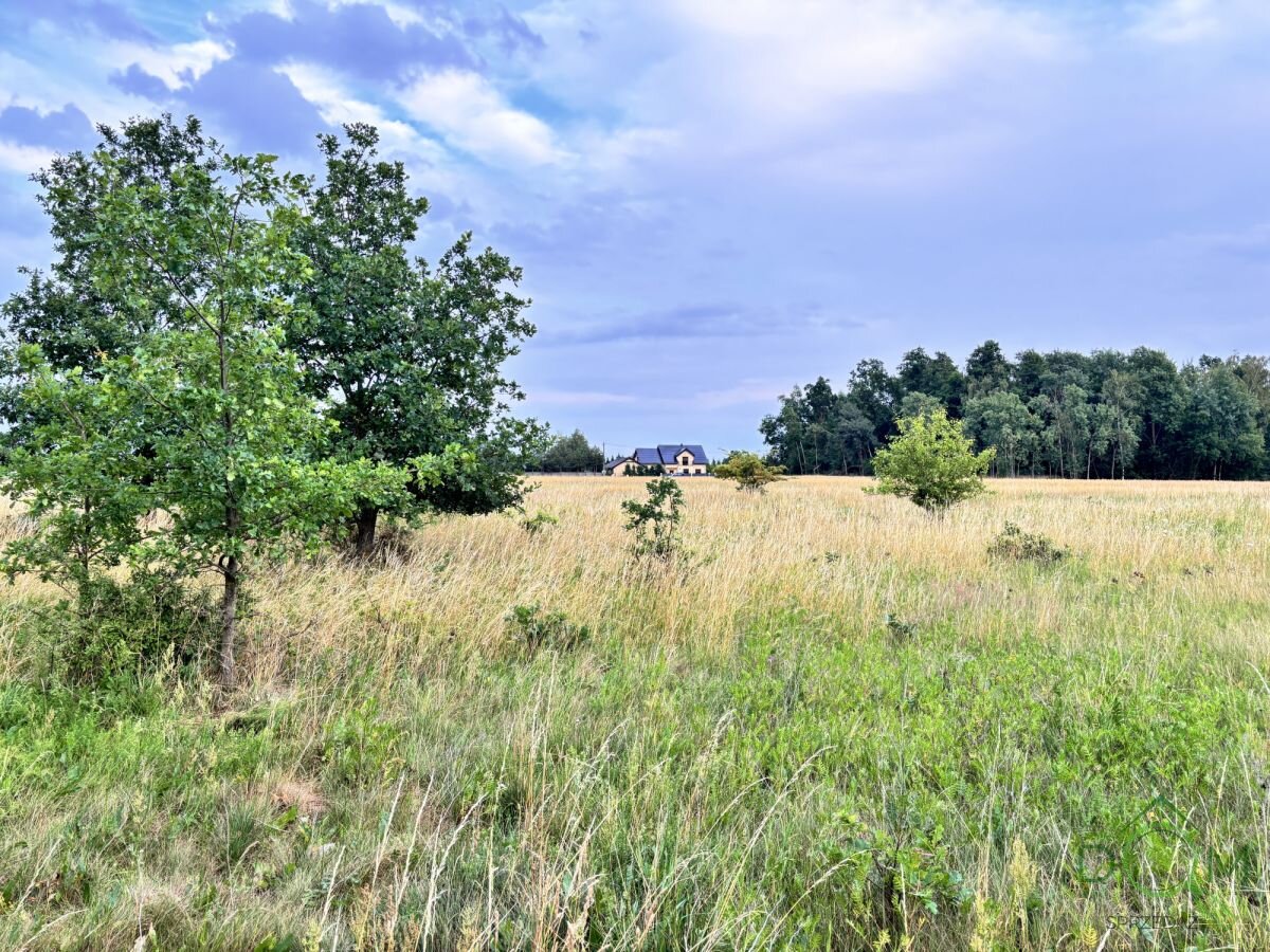 pozysk_nieruchomosci_zs_595403_1.jpg