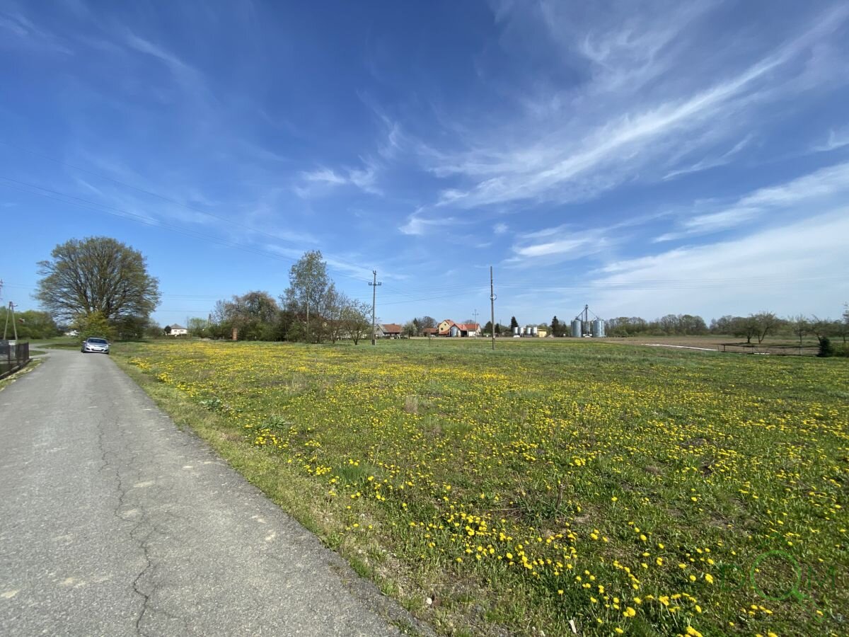 pozysk_nieruchomosci_zs_841406_8.jpg