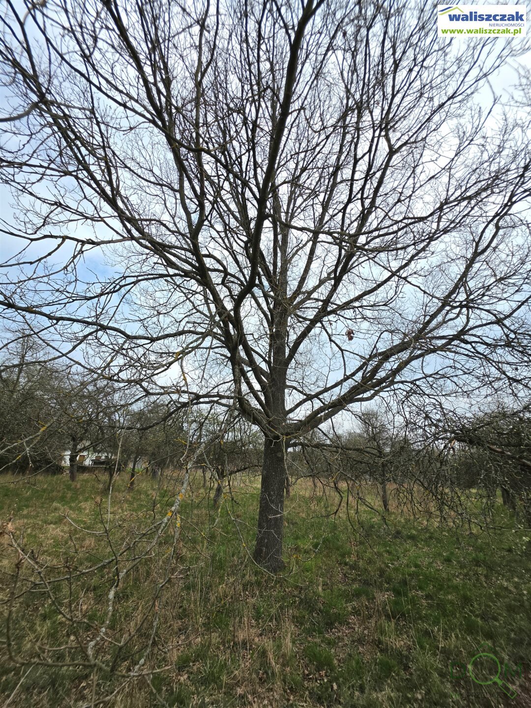 waliszczak_nieruchomosci_zs_GS-14857_12.jpg