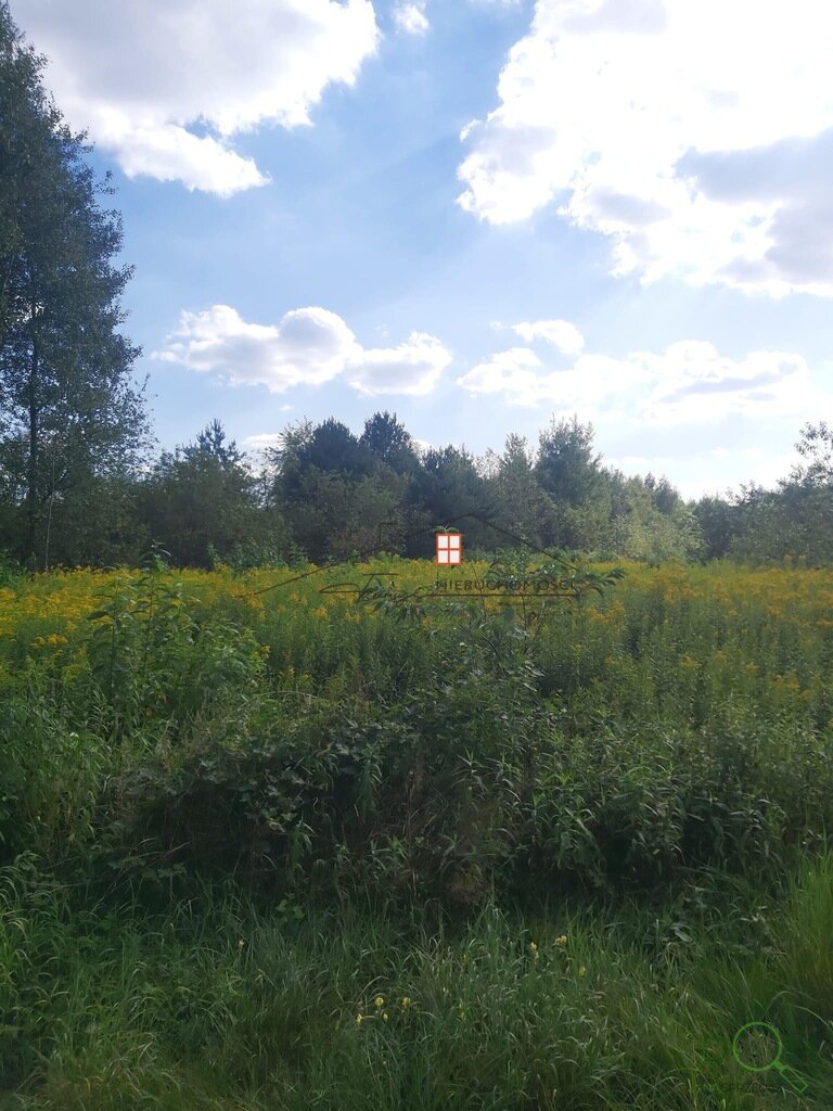 107391426.jpg