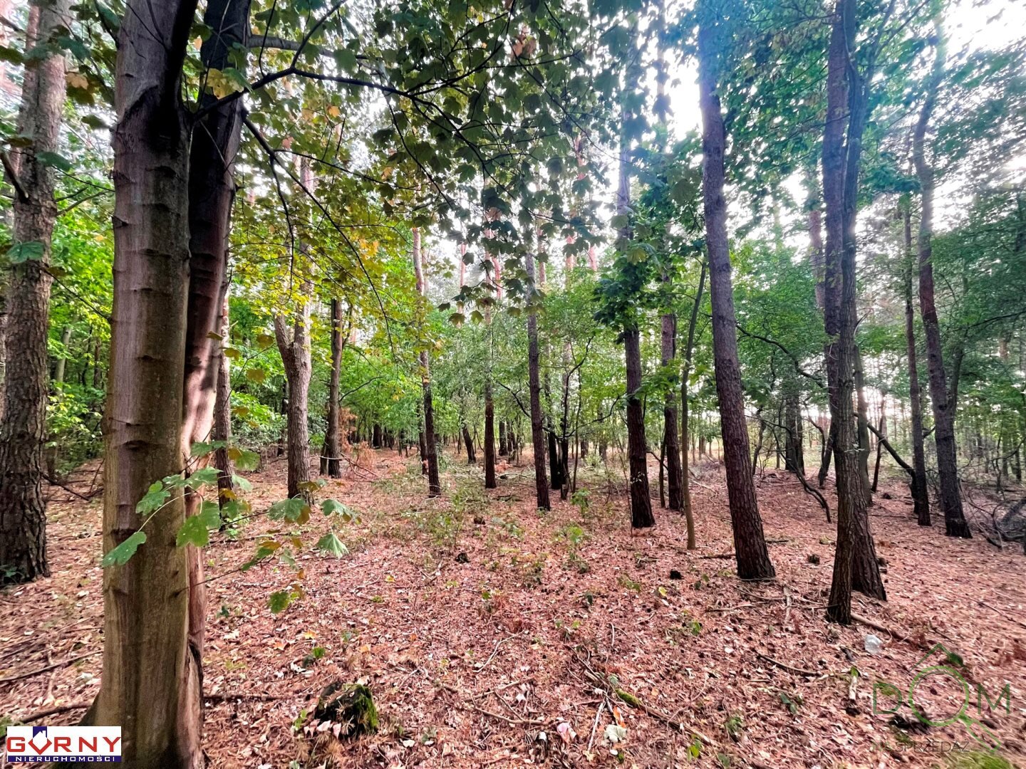 gorny_nieruchomosci_zs_NIG-GS-4335_4.jpg