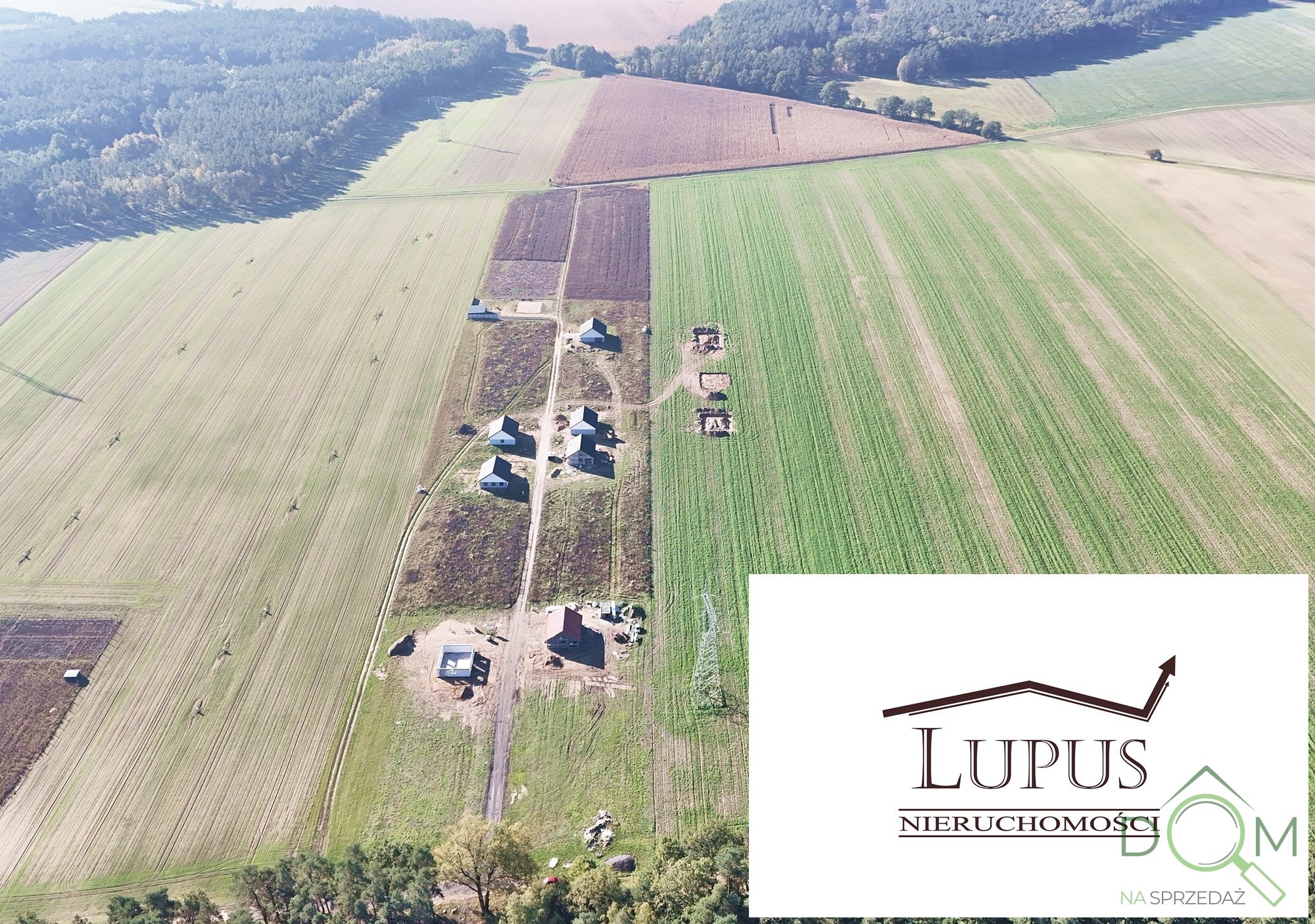 lupus_nieruchomosci_zs_2225_5.jpg