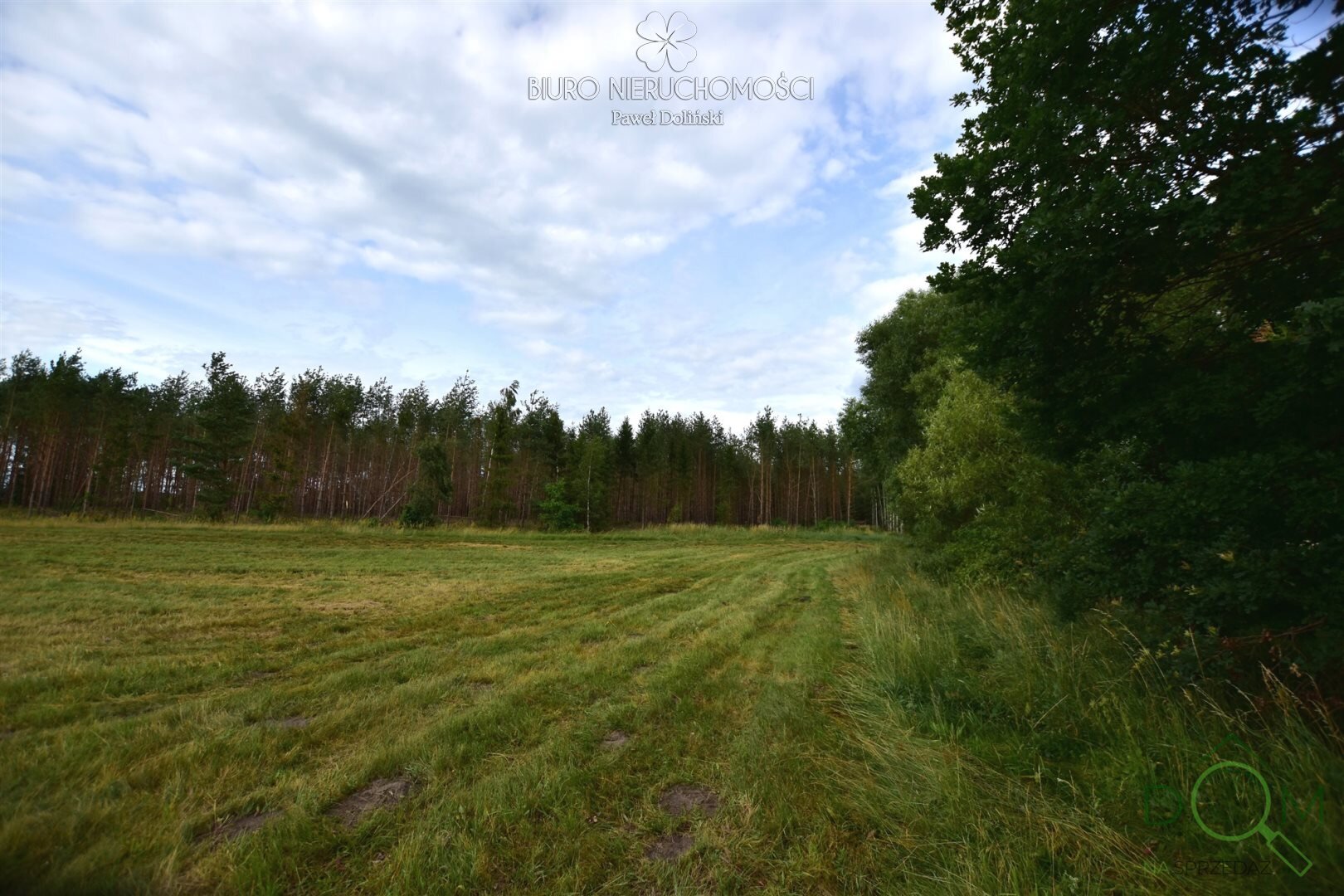 dolinscy_nieruchomosci_zs_PDN-GS-23-1_4.jpg