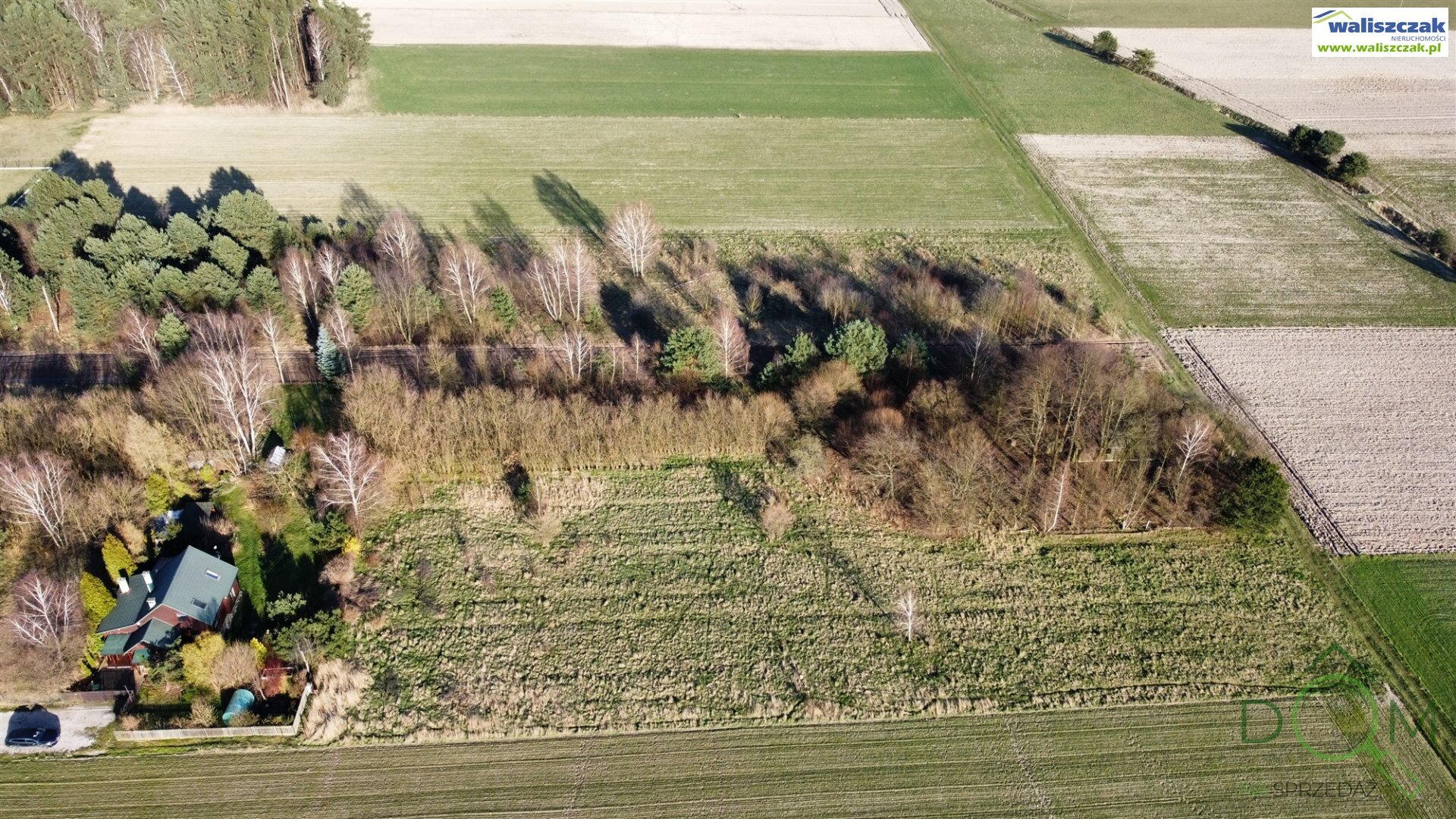 waliszczak_nieruchomosci_zs_GS-14385_1.jpg