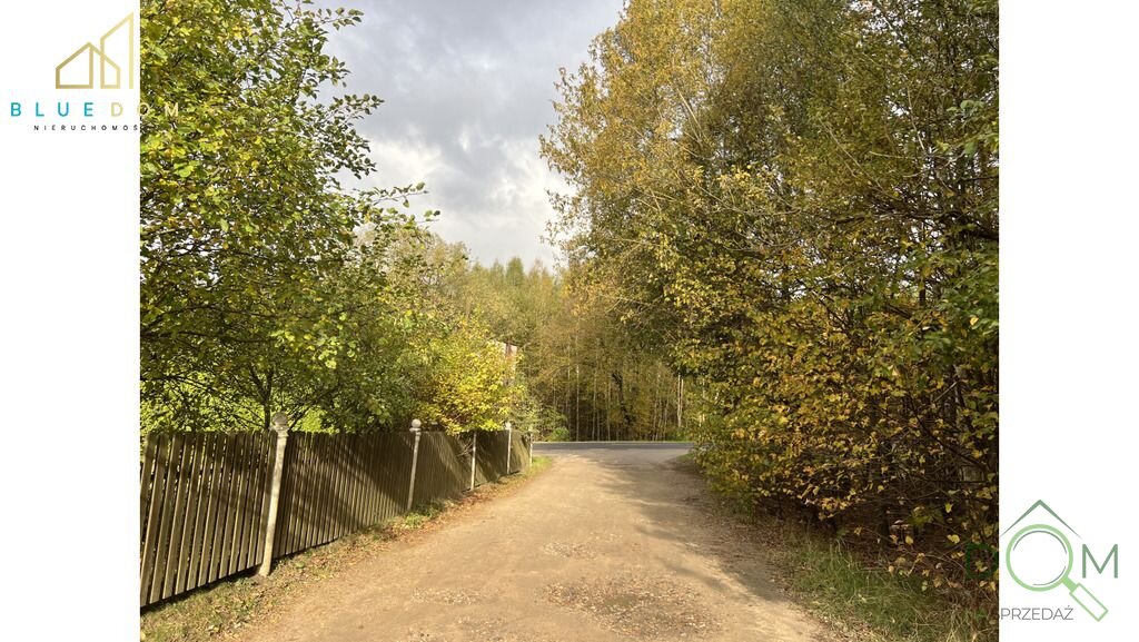bluedom_nieruchomosci_zs_167_4.jpg